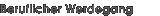 Werdegang